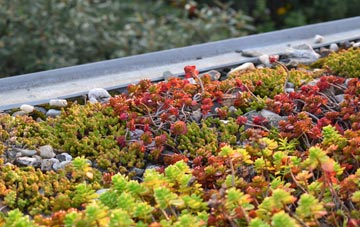 the cost of Collamoor Head green roof installation