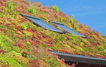 Collamoor Head living roof systems